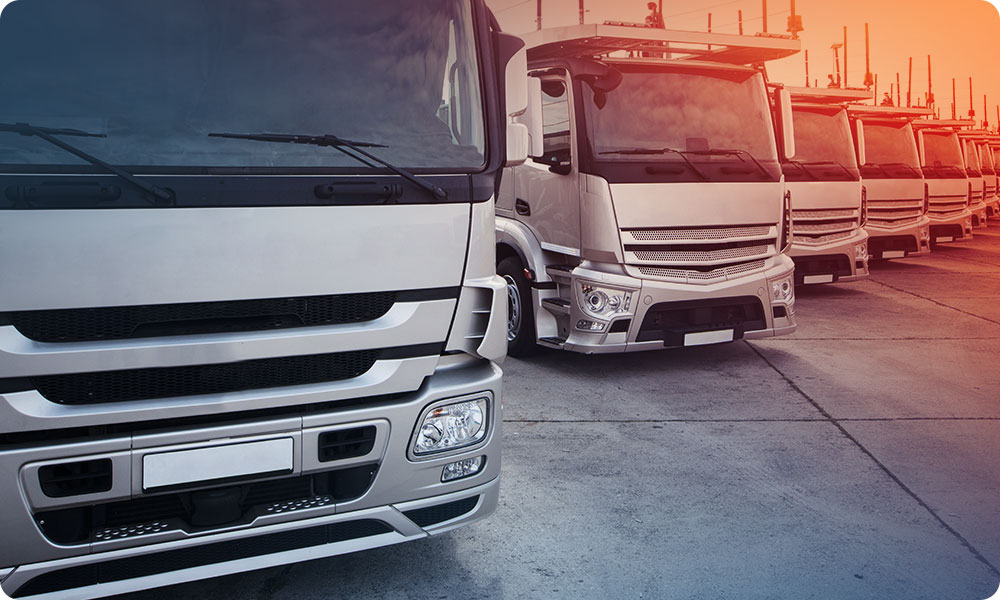 servicios-coordinacion-de-envios-1d